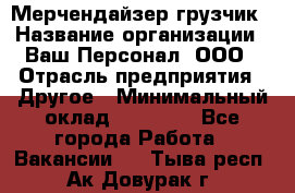 Мерчендайзер-грузчик › Название организации ­ Ваш Персонал, ООО › Отрасль предприятия ­ Другое › Минимальный оклад ­ 40 000 - Все города Работа » Вакансии   . Тыва респ.,Ак-Довурак г.